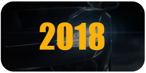 发展历史2018