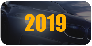 发展历史2019
