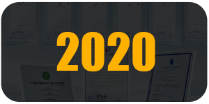 发展历史2020