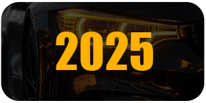 发展历史2025